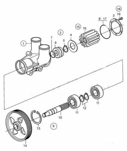 Impeller Volvo Penta TAMD63 D6 RO: 3887761 876771 21951358 119574-42550 09-821B