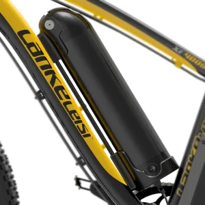 Lithium Battery / Li-Ion Battery Special LANKELEISI Electric Bicycle( Battery Case)