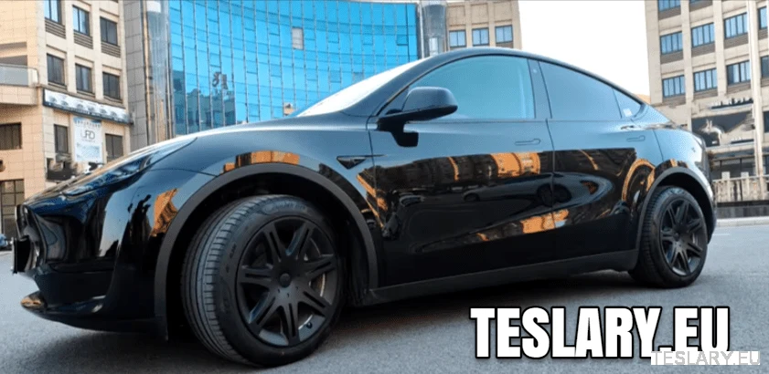 Tesla Model Y 19 "Jedinstveni S9 COW CHET HUBS