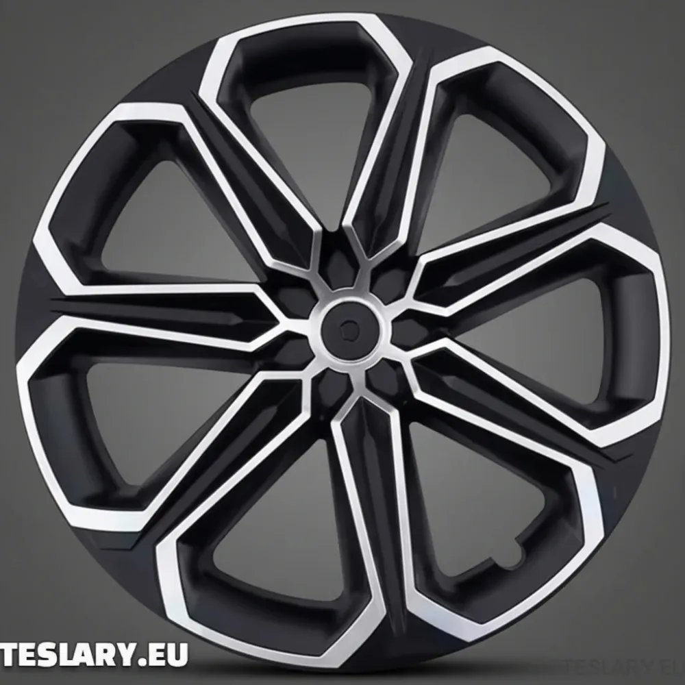 Tesla Model Y 19 "Jedinstveni S4 Hubs s punim poklopcem