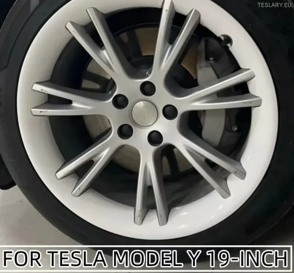 Tesla Model Y 19 "PREGLED PREGOVORA GEMINI (Srebrno)