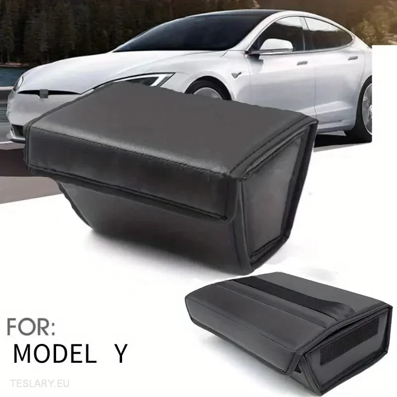 Tesla y Organizator konzole za stražnju