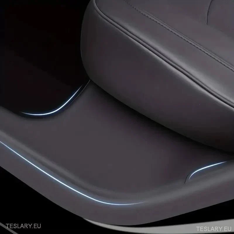 Tesla y plastične zaštitne pragove na stražnjim vratima (2 komada)