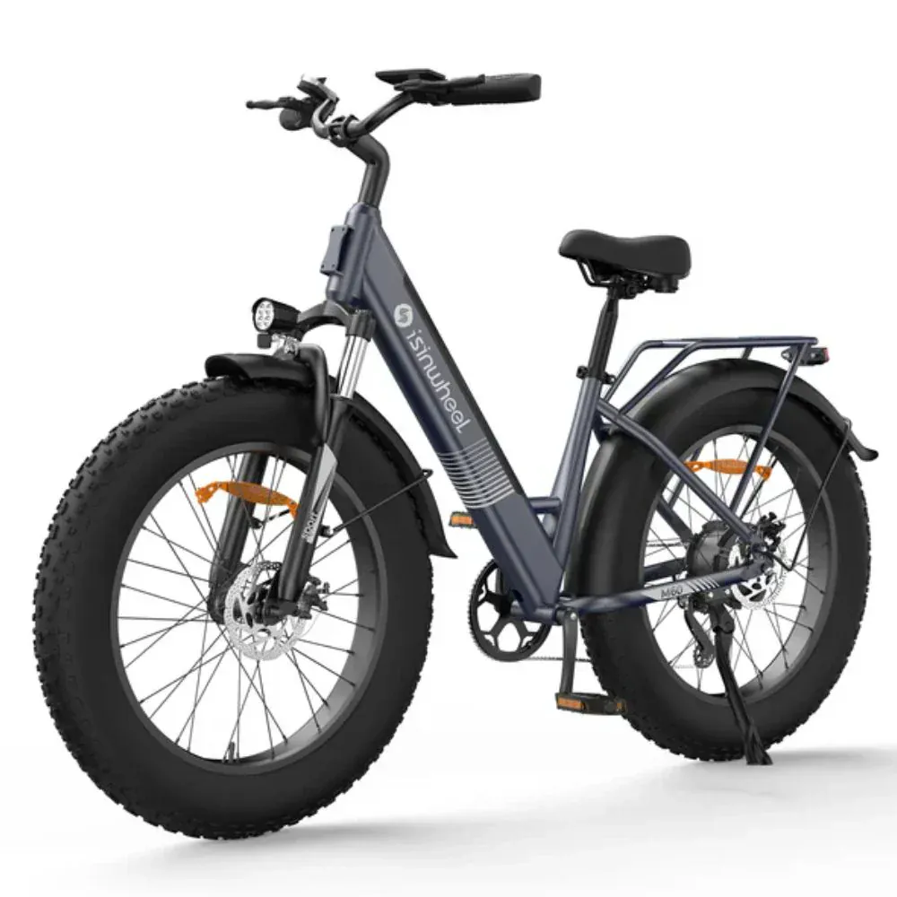 M60 Debele gume za električni bicikl isinwheel