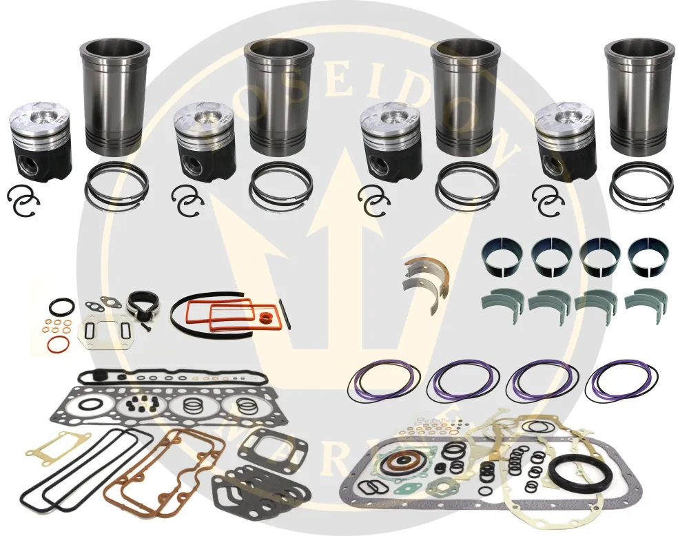 Engine overhaul kit Volvo Penta AD31L- TAMD31P- KAD32P 877737 22185027