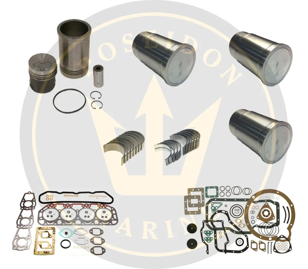 Engine overhaul kit Volvo Penta marine diesel AQD21 MD21 829532 876417 875387 875306 875302