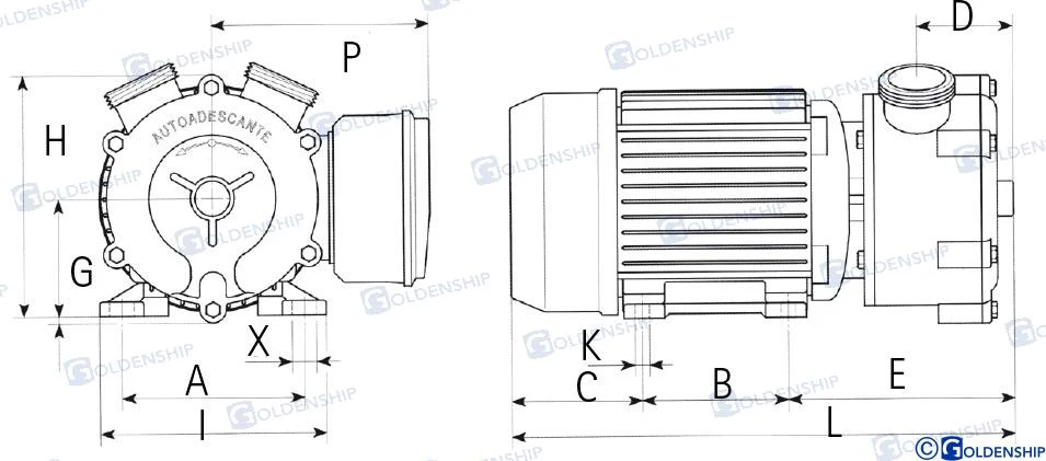 Liverani® ELECTRIC PUMP 12V 25L/MIN GS20220