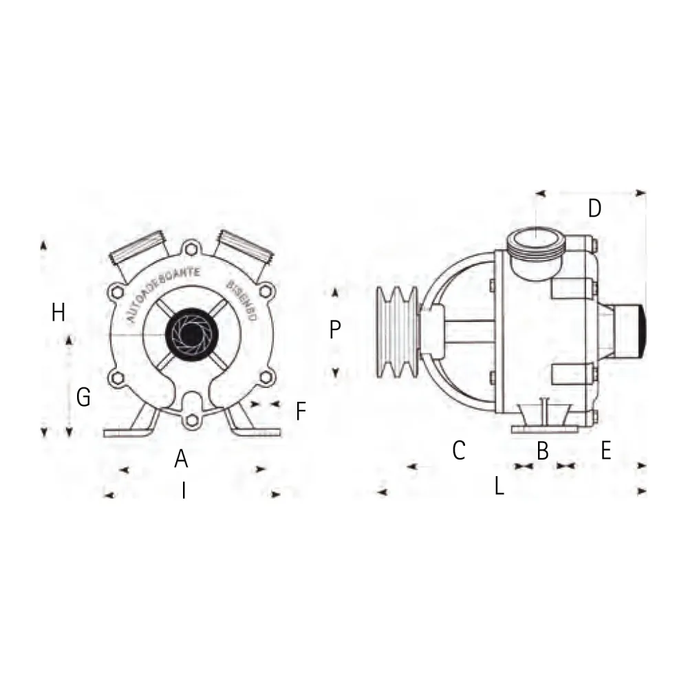 Liverani® SELF PRIMING PUMP 40MM GS20202