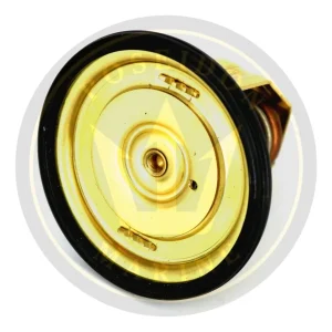 Recmar® Thermostat kit 55°C Volvo Penta AQ165 AQ170 875791 831040 18-3663
