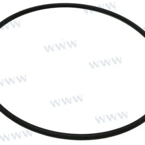 Sherwood Pumps® 12231 water pump cover o-ring