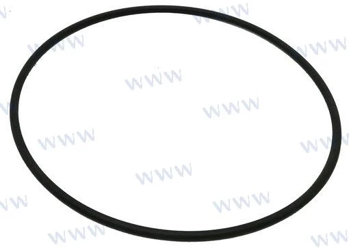 Sherwood Pumps® 12231 water pump cover o-ring