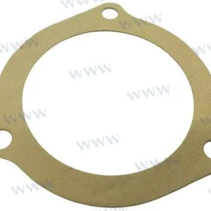 Sherwood Pumps® water pump lid cover gasket 12855