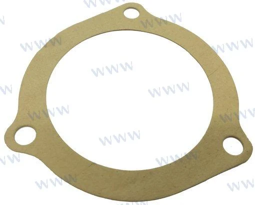 Sherwood Pumps® water pump lid cover gasket 12855